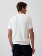INTL BRANNAN SWEATER POLO