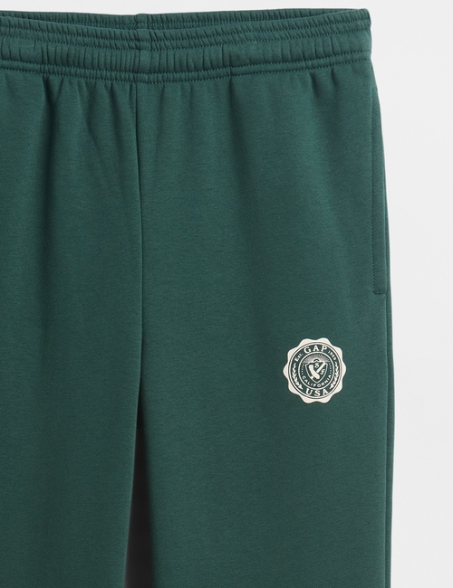 JPN IE FASH LOGO JOGGER