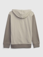 Kids Gap Logo Colorblock Hoodie