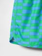 SWIM TRUNK DOLPHIN HEM SP25 MOD