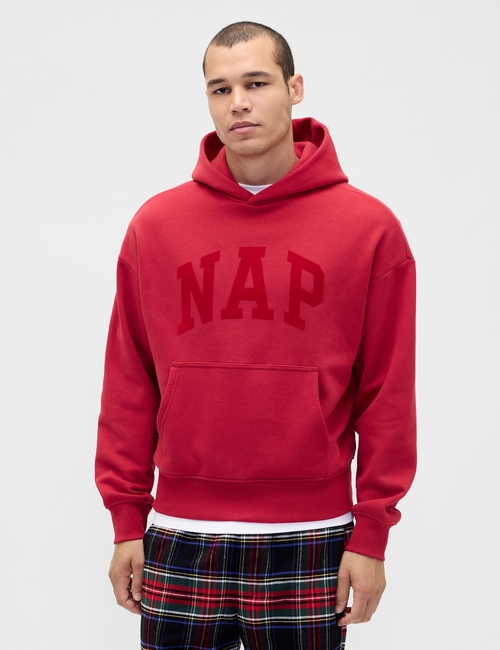 NAP LOGO PO HD