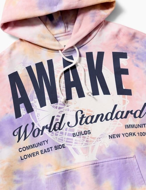GAP X PROJ A PULL OVER HOODIE 400G