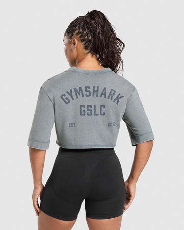 66 Washed Graphic Crop Top