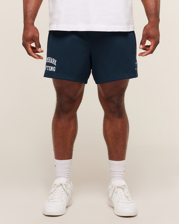 Lifting Mesh 5" Shorts