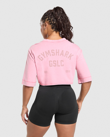 66 Washed Graphic Crop Top