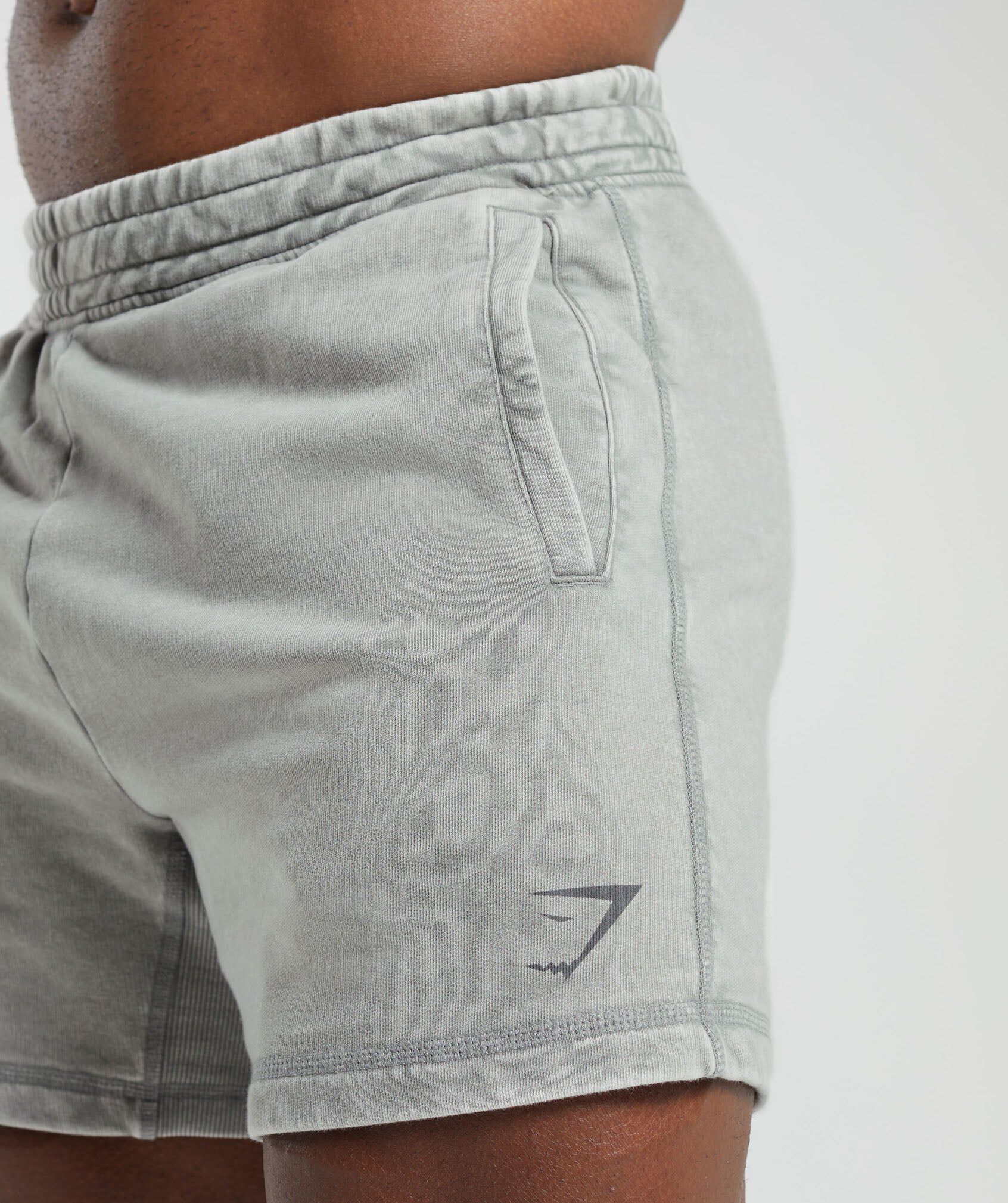 Power Washed 5" Shorts