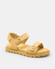 Light/Pastel Yellow