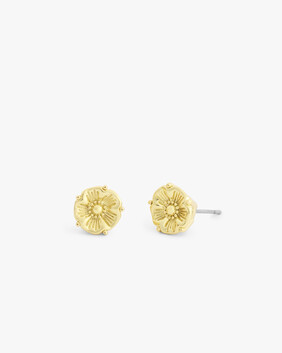 Signature Tea Rose Prong Stud Earrings