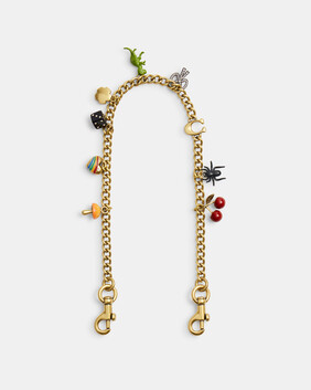 Chain Strap With Charms