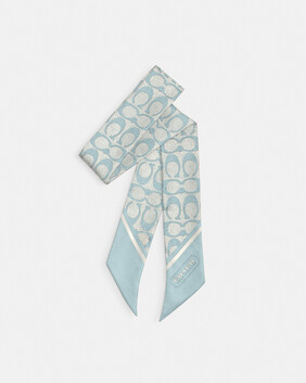 Vintage Signature C Printed Silk Skinny Scarf