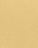 Light/Pastel Yellow