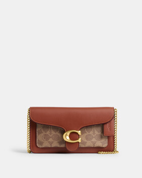 Tabby Chain Clutch In Signature Canvas 21