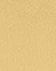 Light/Pastel Yellow