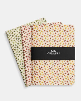 Notebook Set In Signature