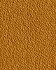Open Brown
