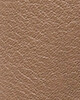 Brown II