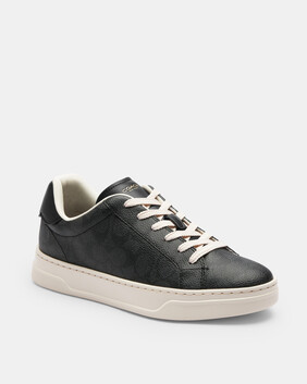High Line Sneaker In Signature Canvas